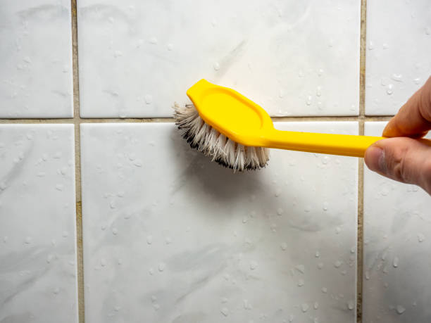 Best Residential Mold Removal  in Chickasaw, AL