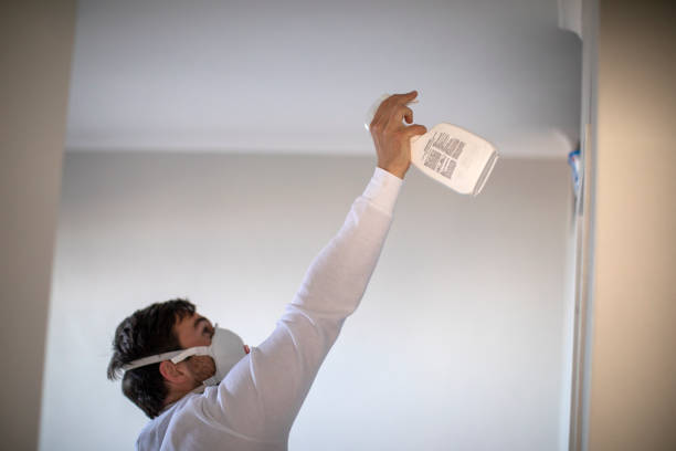 Best Certified Mold Removal  in Chickasaw, AL