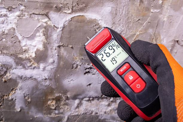 Best Mold Testing  in Chickasaw, AL