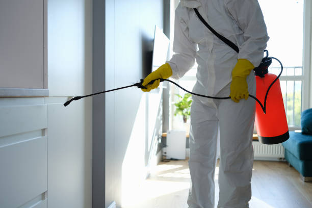 Best Water Damage Restoration  in Chickasaw, AL