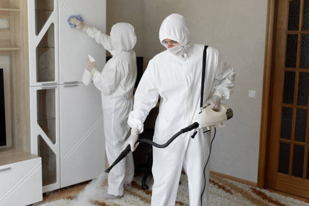 Best Attic Mold Removal  in Chickasaw, AL